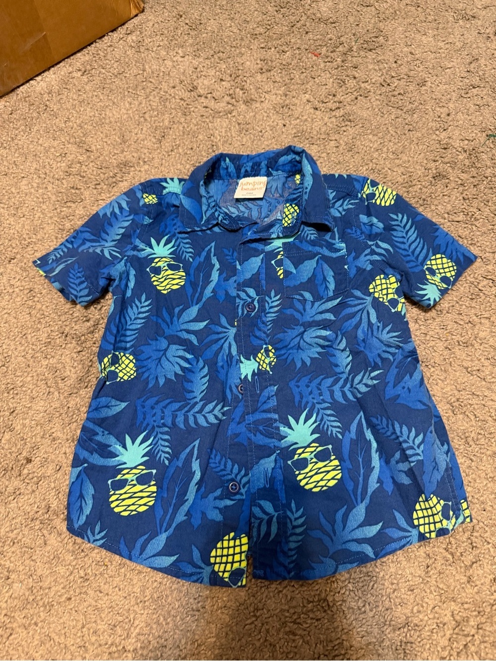 jumping beans Blue Pineapple Button-Up Shirt